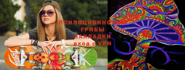 гидра Алексеевка